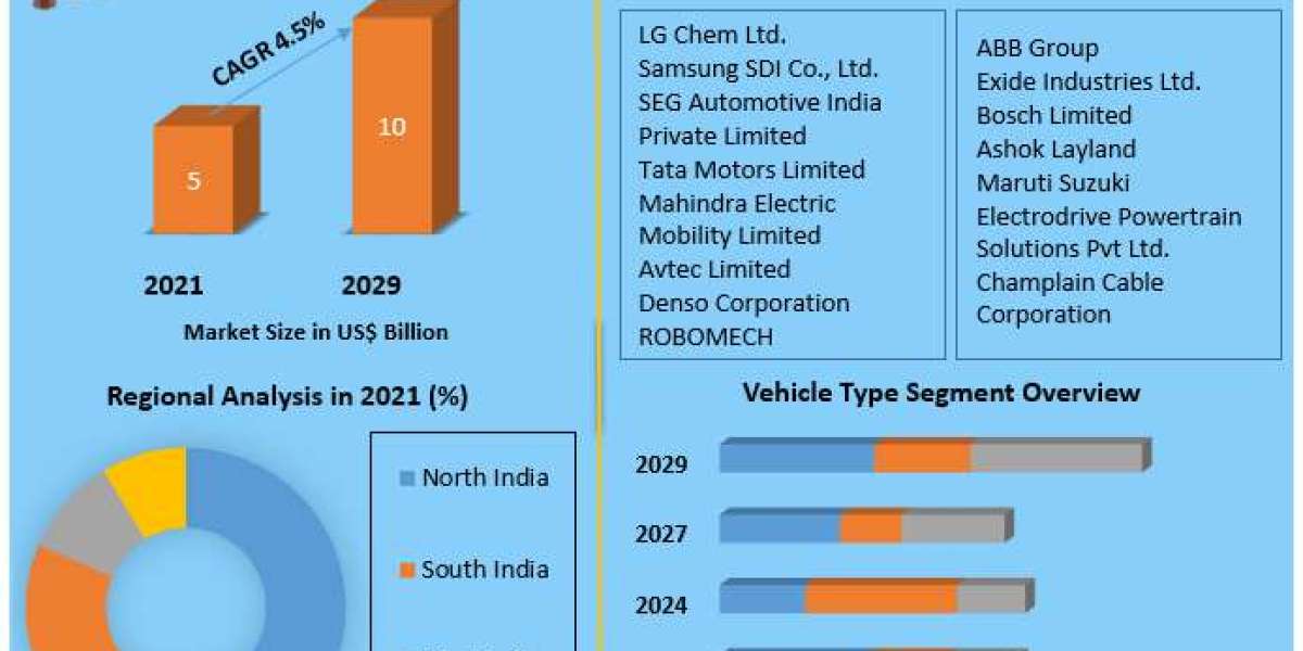 India Electric Vehicle Motor Market Future Growth, Competitive Analysis and Forecast 2030