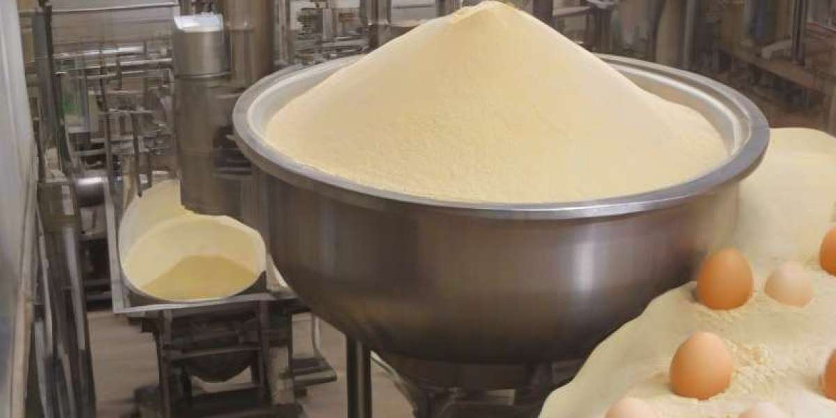 Roadmap for Setting up a Egg Powder Manufacturing Plant Project | Report by IMARC Group