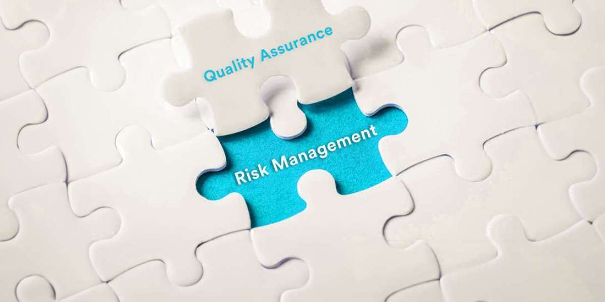 Quality Assurance and Risk Management: A Synergistic Framework