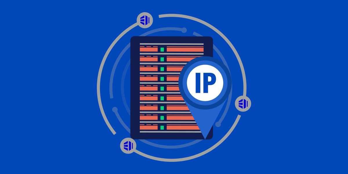 Your Guide to Access: Securing an IP Address at No Cost
