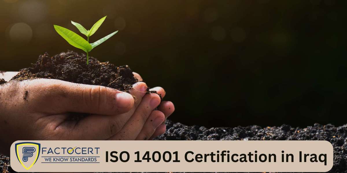 How does ISO 14001 Certification in Iraq benefit organizations?