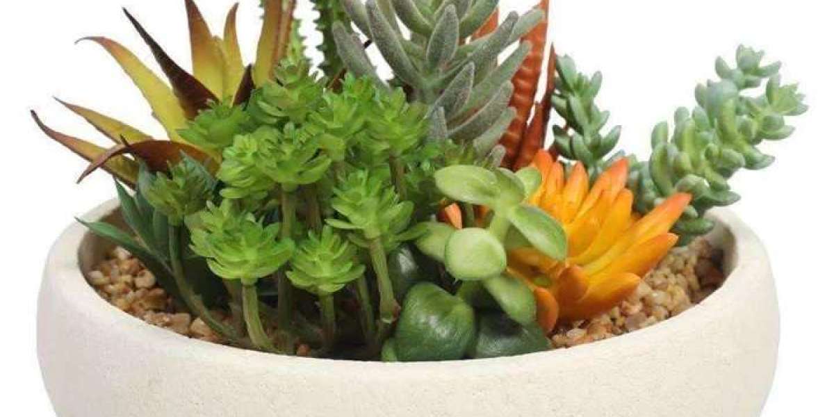 Bringing Nature Indoors: Enhancing Interiors with Artificial Succulent Plants