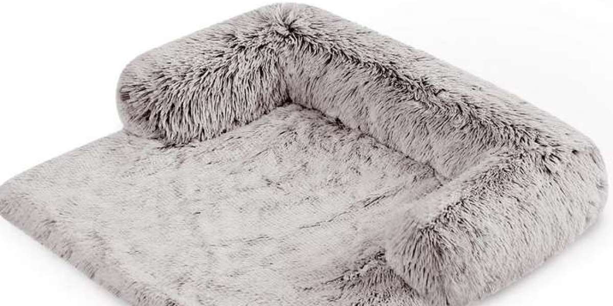 Snooze with a View: Top Picks for Dog Beds Down Under
