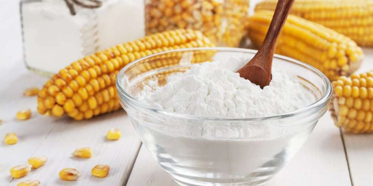Unveiling Growth Opportunities: A Comprehensive Market Research Report on Waxy Maize Starch Market