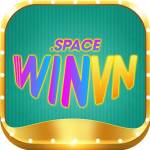 winvn space