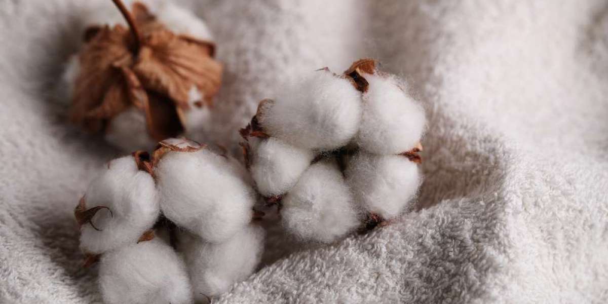 Deciphering ICE Cotton Price Trends: Forecasting and Agricultural Commodity Price Predictions in India