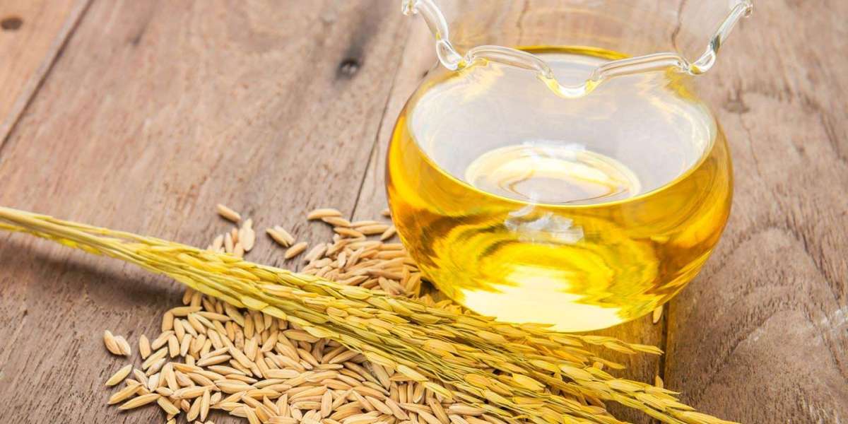 Rice Bran Oil Manufacturing Plant Project Report 2024: Comprehensive Business Plan, Raw Material Requirement