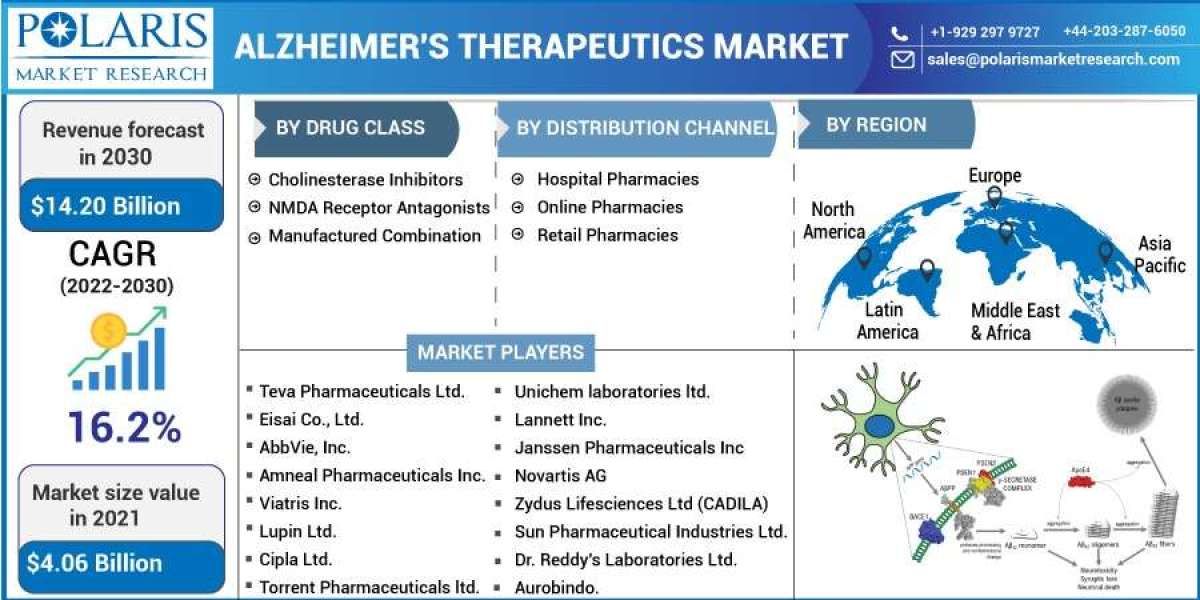 Alzheimer’s Therapeutics Market Challenges, Development, Opportunities, Future Growth and Trends by Forecast to 2032