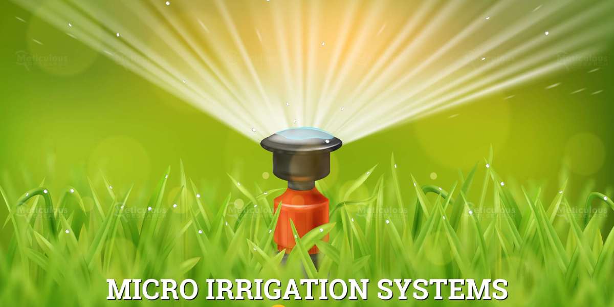TOP 10 COMPANIES IN MICRO-IRRIGATION SYSTEMS MARKET