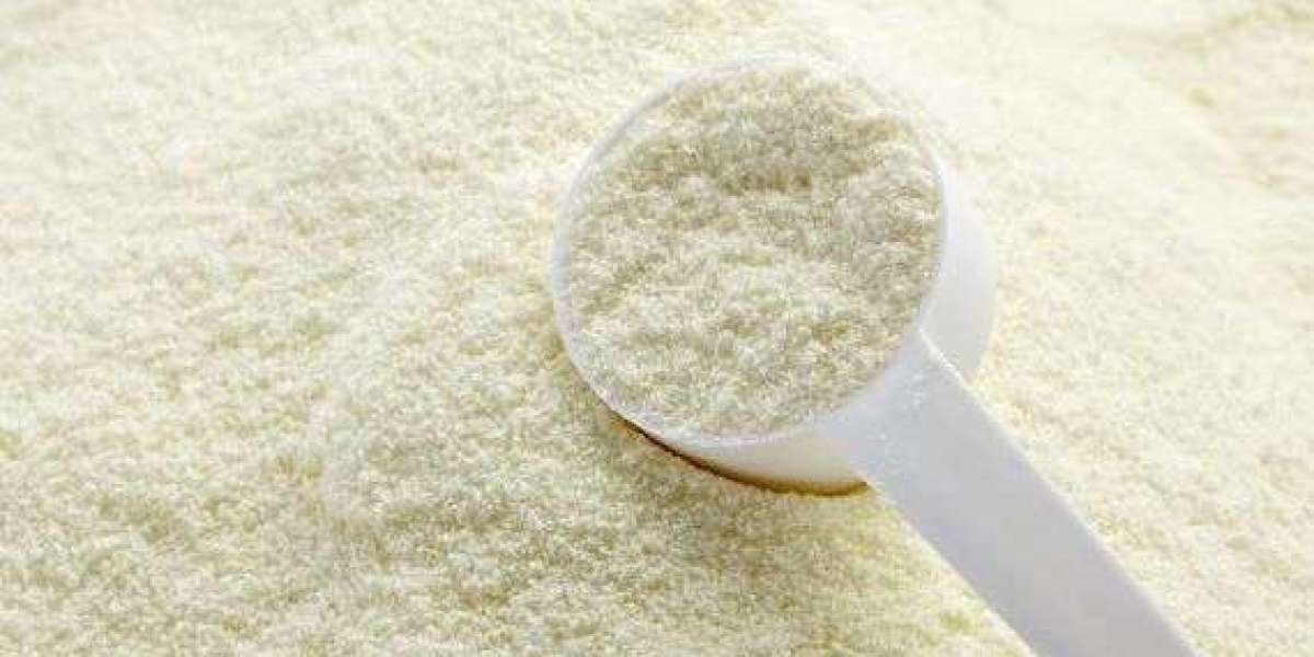 Whole Milk Powder Manufacturing Plant Project Report 2024: Manufacturing Process, Business Plan, Machinery Requirement