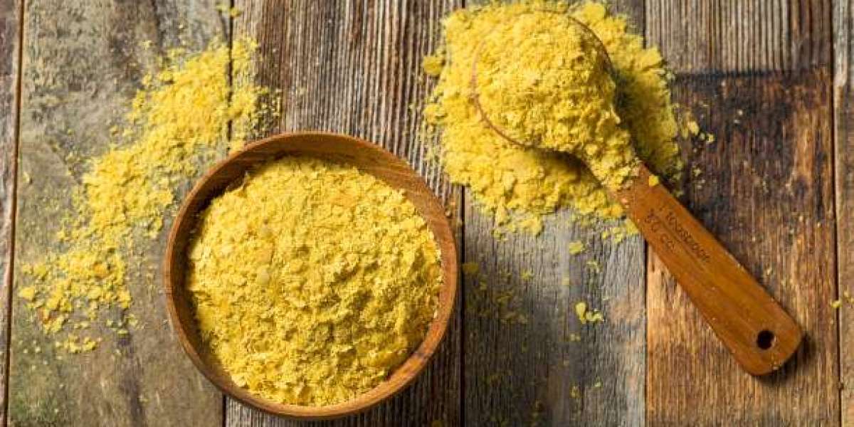 Organic Cheese Powder Market Trends, Insights Shared in Detailed Report, Forecasts to 2030