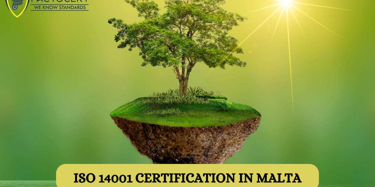 What are the costs and time frames associated with obtaining ISO 14001 Certification in Malta?