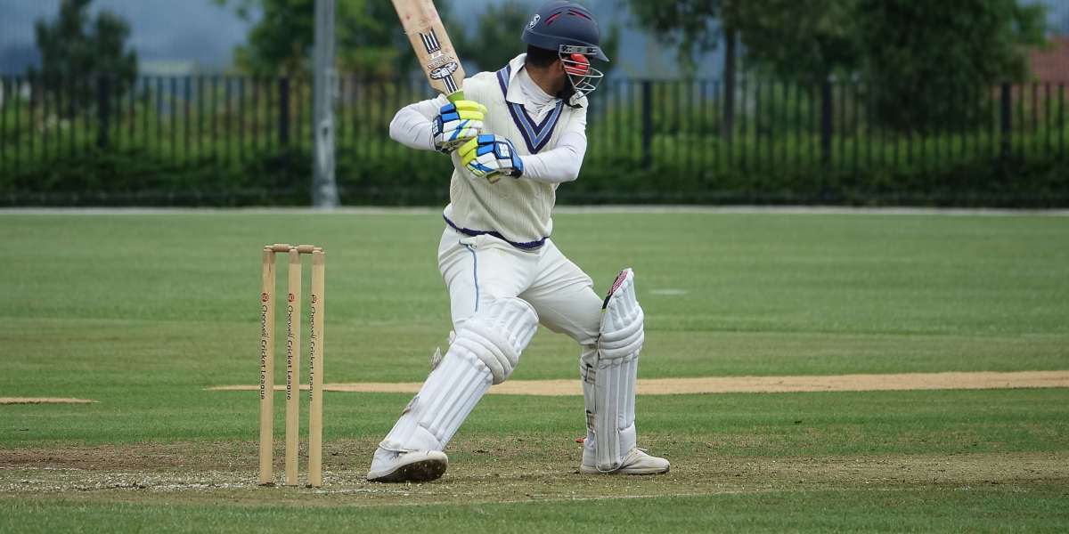 Cricket Leg Pads and Shoes: Defenders of Performance and Safety