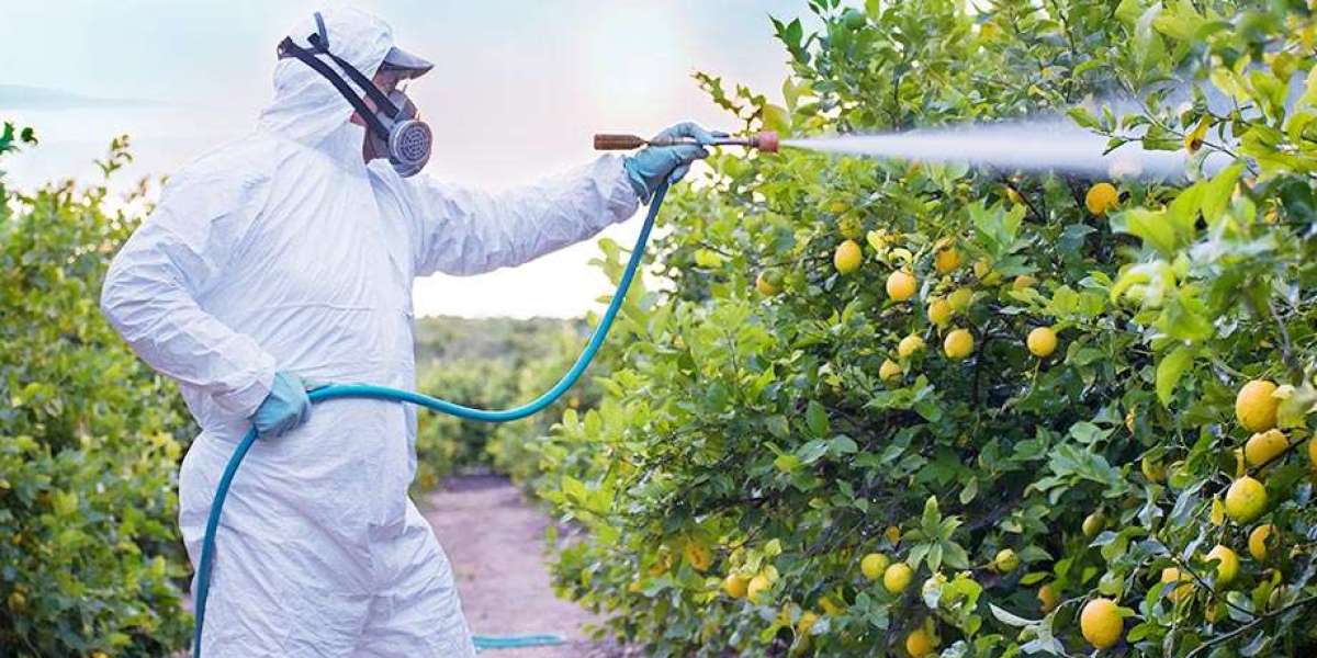 Fungicides Market Size, Share, Trends Analysis, Report 2024-2032