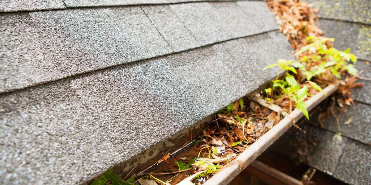 Safeguard Your Home: Lakewood's Top Expert Advice on Gutter Cleaning and Repair