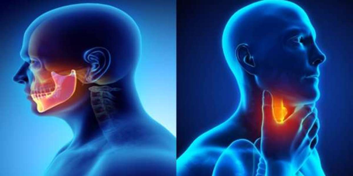 Head and Neck Cancer Market: Epidemiology, Trends, Demand, Share, Size (2023-2033)