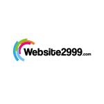 Website 2999