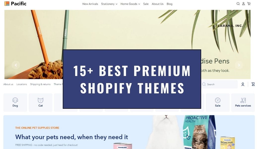 15+ Best Premium Shopify Themes for Professional Stores