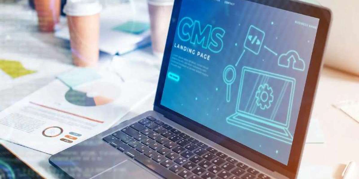 Which CMS Platform is Right for My Company?