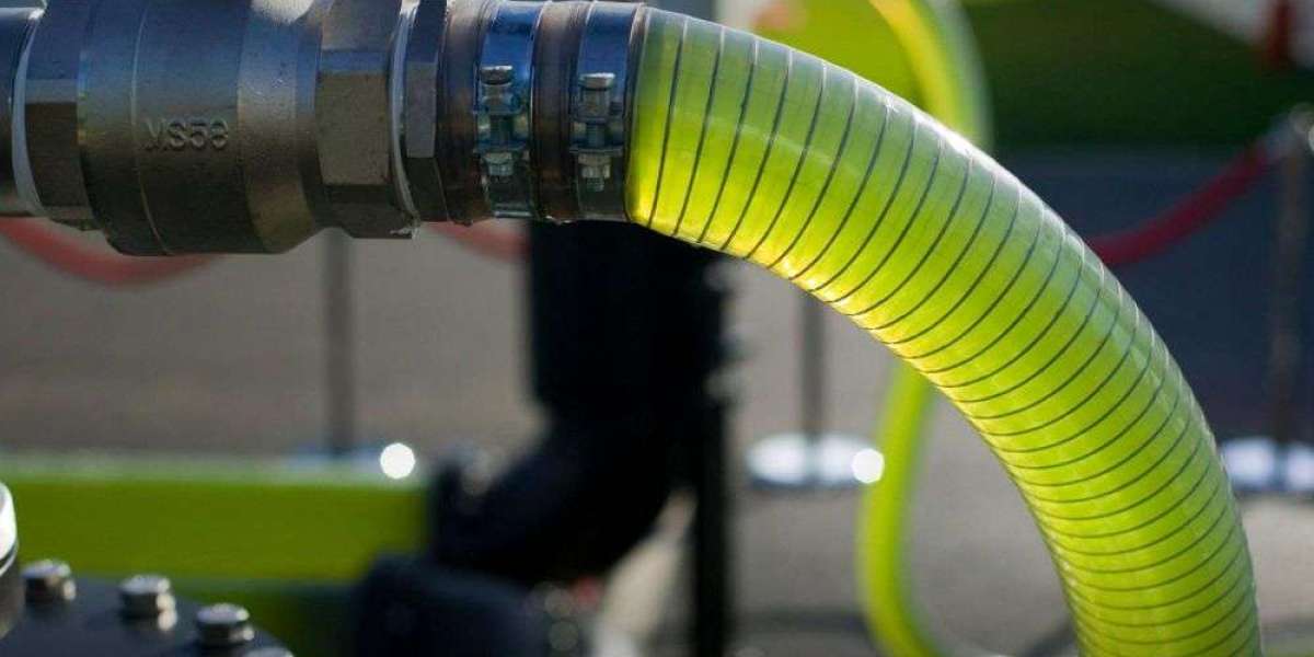 Decoding Progress: Biodiesel Market Research and Analysis