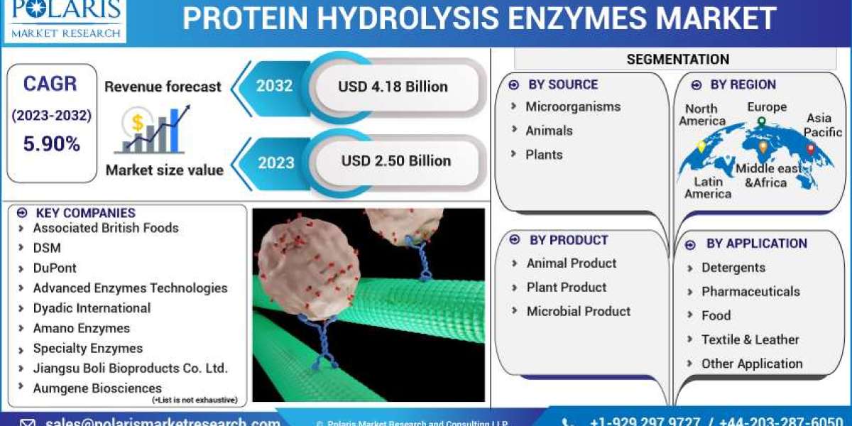 Protein Hydrolysis Enzymes Market Latest Trends, Technological Advancement, Driving Factors and Forecast to 2032