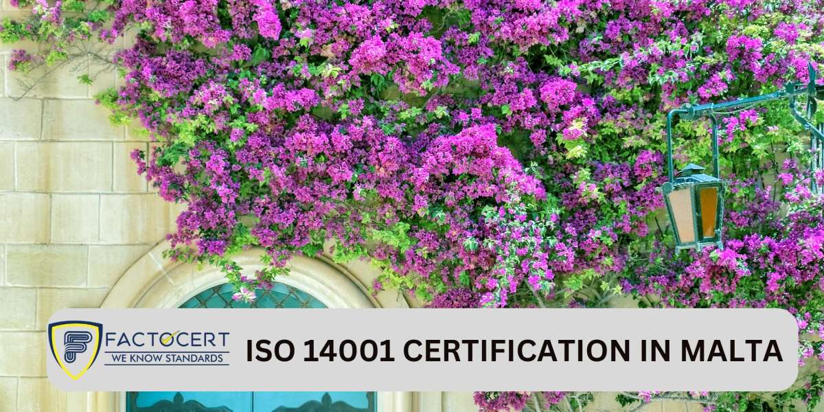 Explain the process of obtaining an organization’s ISO 14001 Certification in Malta.