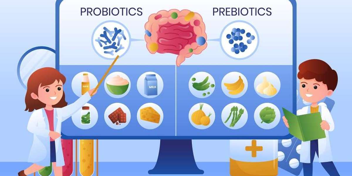 Nurturing Gut Health: Exploring Probiotics Foods and Products in Pakistan