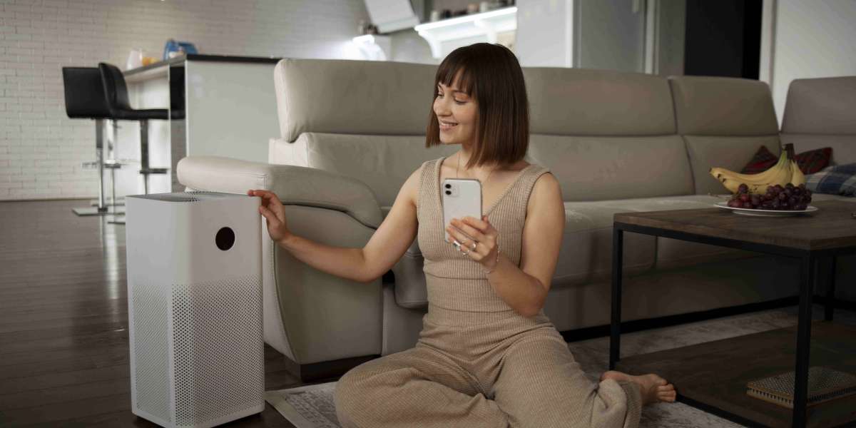 Seeking insights on the latest air purifier models and their price variations in the market?