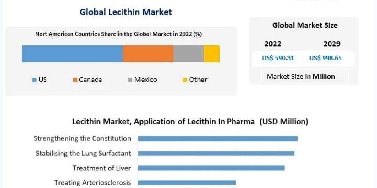 Lecithin market Business Strategies, Revenue and Growth Rate Upto 2029