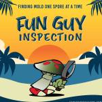 Fun Guy Inspection And Consulting LLC