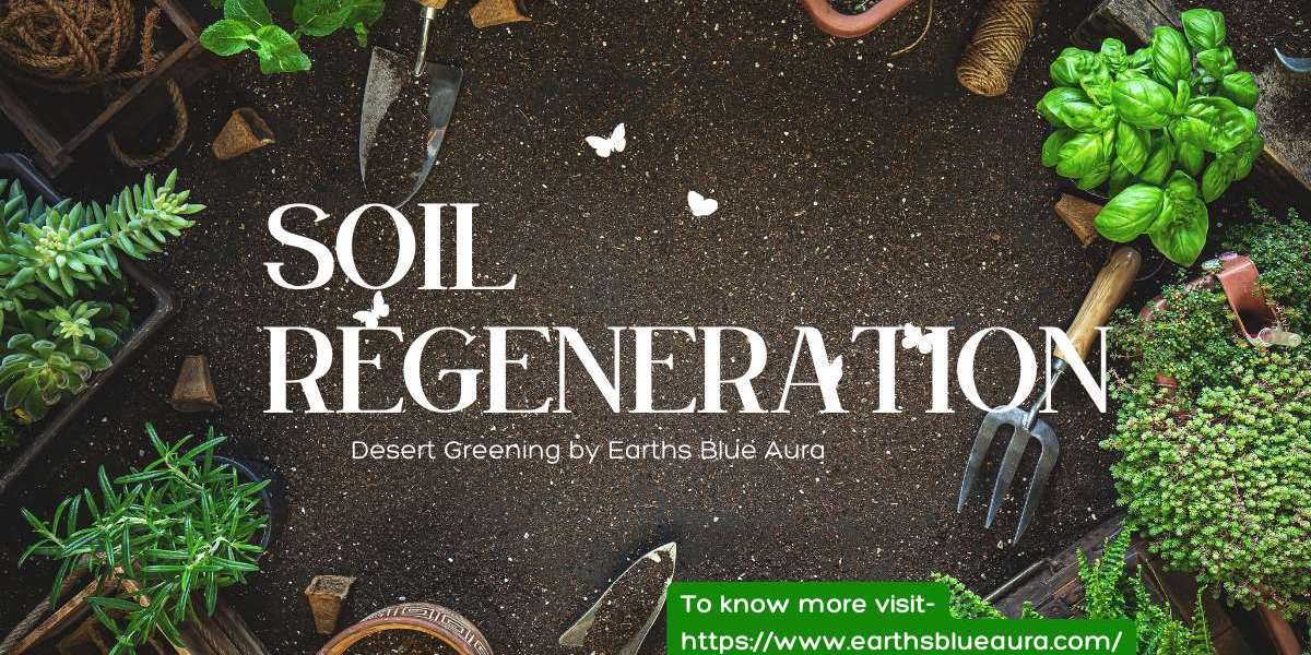 Growing Green: Soil Regeneration Strategies