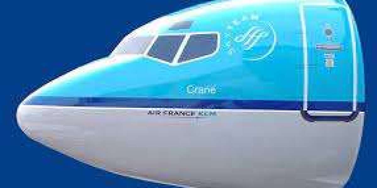 Aircraft Nose Market Unidentified Segments – The Biggest Opportunity Of 2023