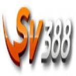 SFV388 Profile Picture