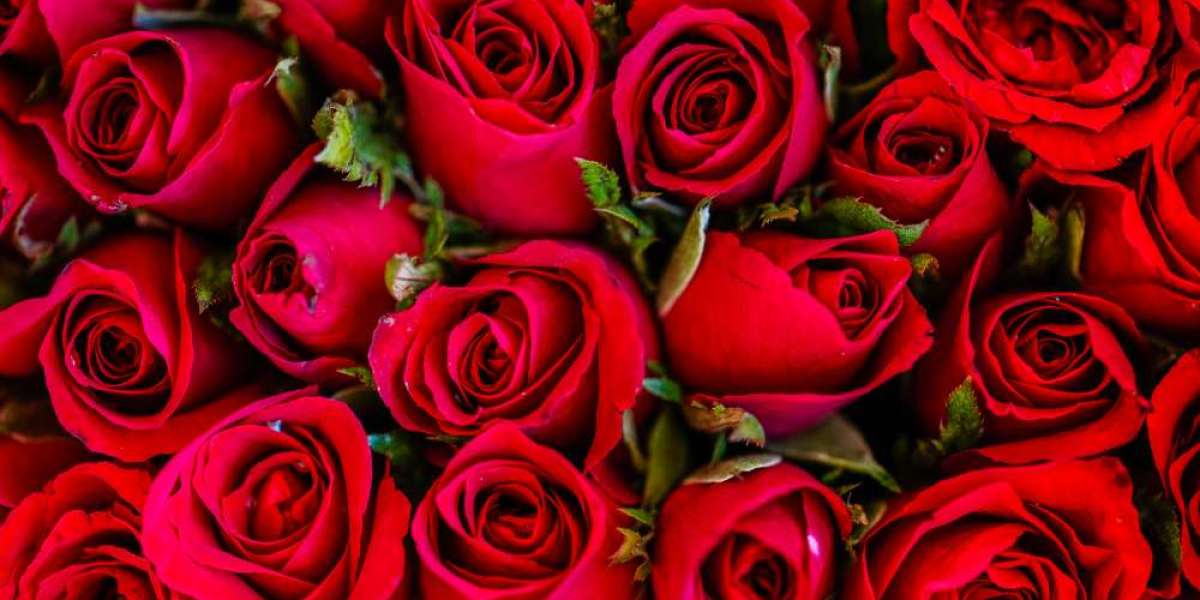 Rose Market - Worldwide Industry Share & Size & Growth, Gross Margin, Trend, Future Demand, Analysis By Top Lead