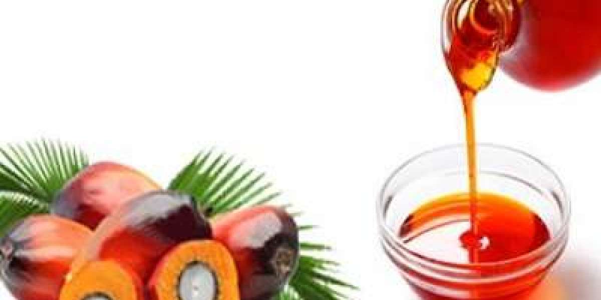 Analyzing the Market: Palm Oil Pricing Strategies and Demand