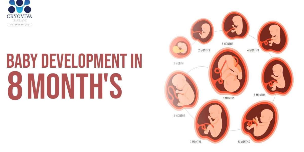 Baby Development in the 8 Month