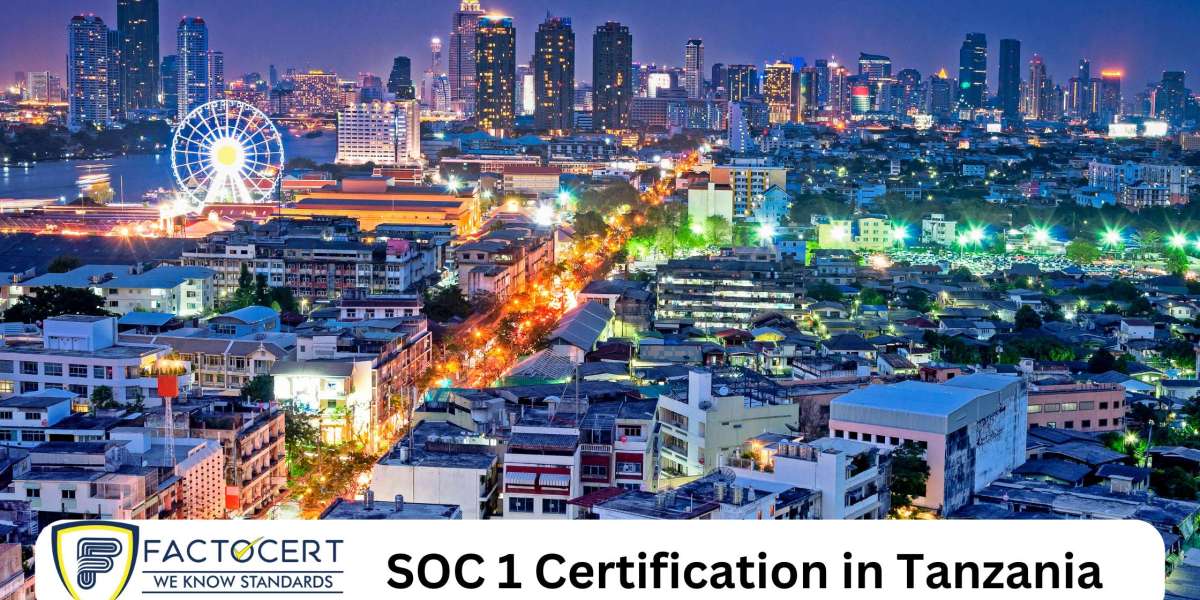 What are the different types of SOC 1 certification in Tanzania?