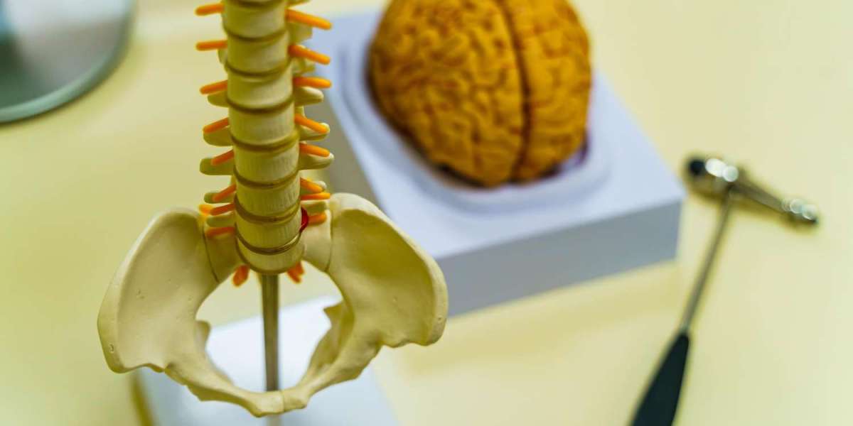 Unlocking Wellness: Discovering Spine Health