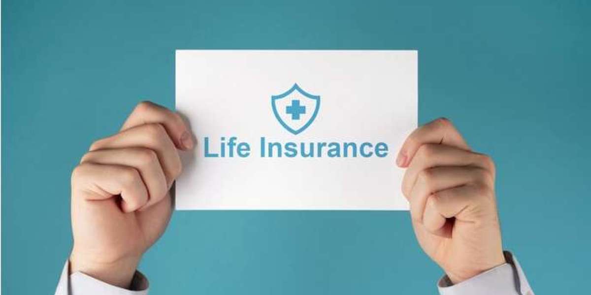 Safeguarding Tomorrow: A Deep Dive into the Top Life Insurance Companies