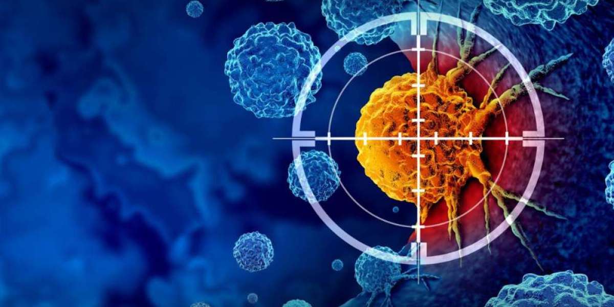 Oncology Market - Personalized Plates: Precision Medicine Drives Market Forward