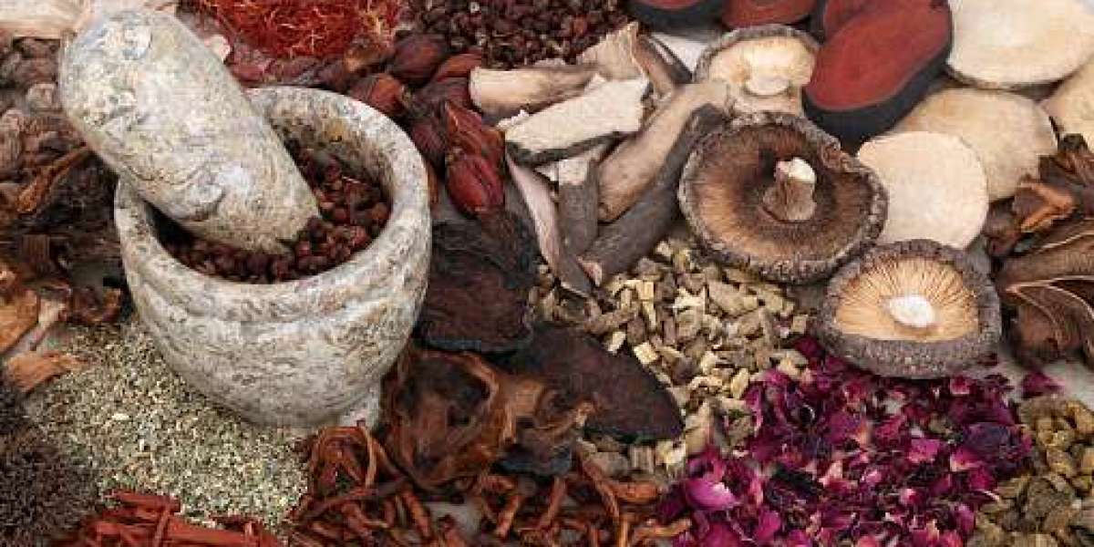 Medicinal Mushroom Market Overview by Business Prospects and Forecast 2032