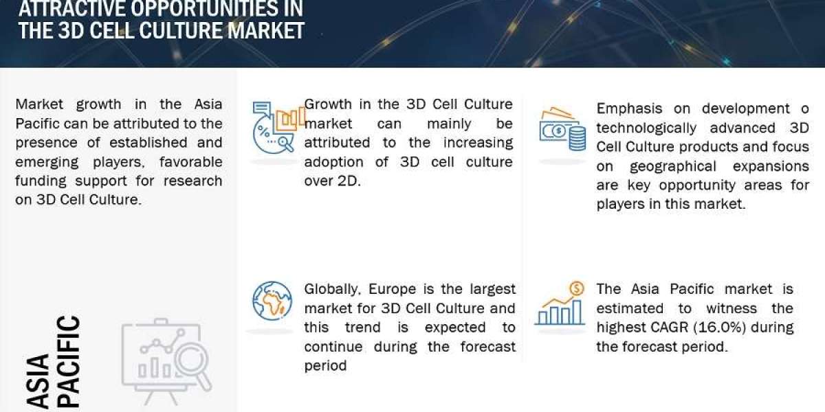 Key Players and Competitive Landscape in the 3D Cell Culture Market