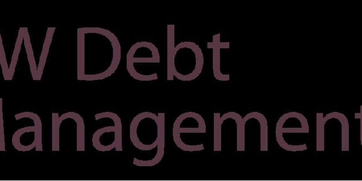 Best Debt Management Programs for Companies