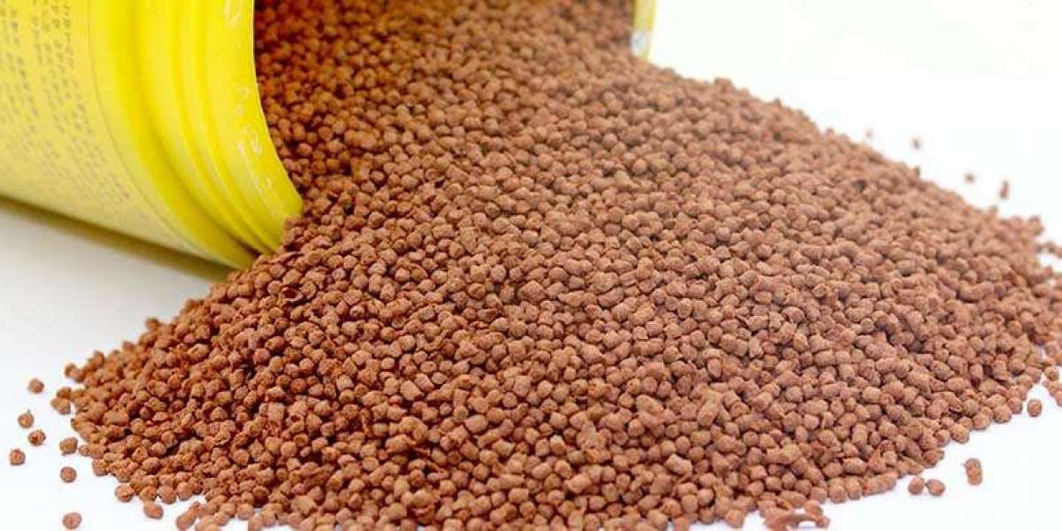 Fish Feed Manufacturing Plant Project Report 2024, Machinery, Cost Analysis and Raw Material Requirements