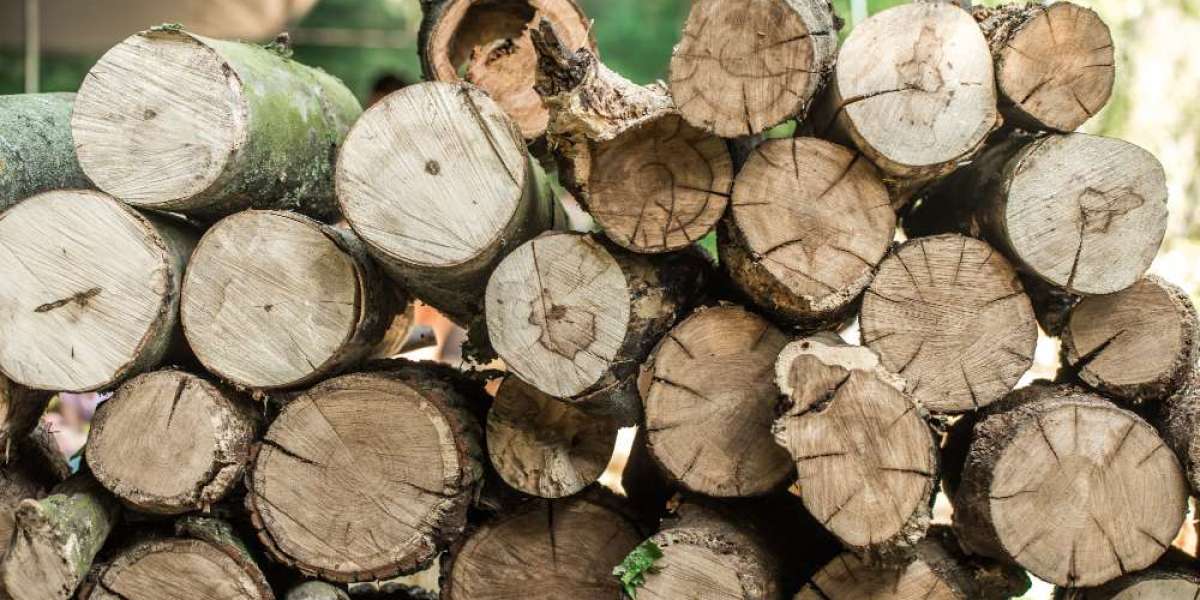 Forest Product Market Growth Prospects,Share,Trends,Forecast 2032