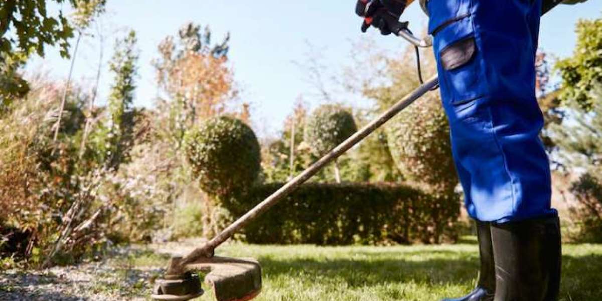Best Lawn Care Services Near Me: Finding the Perfect Green Solutions for Your Lawn