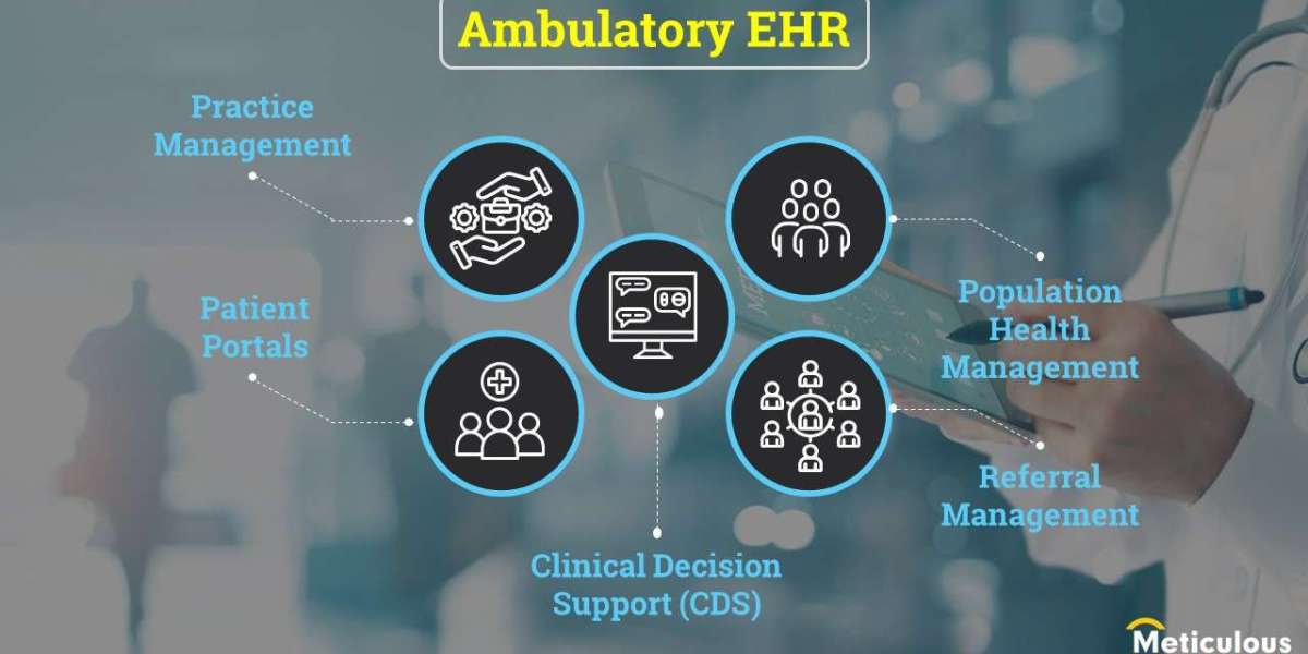 All-in-one ambulatory EHR Segment to Dominate the Market