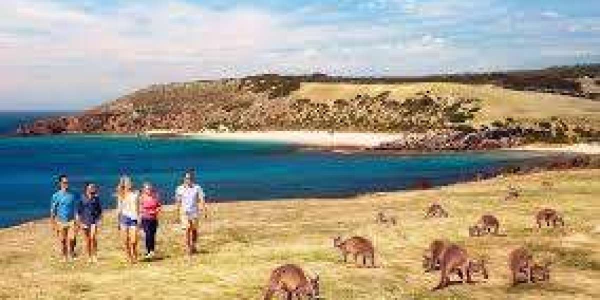 Kangaroo Escapes: Boundless Travels and Leaps