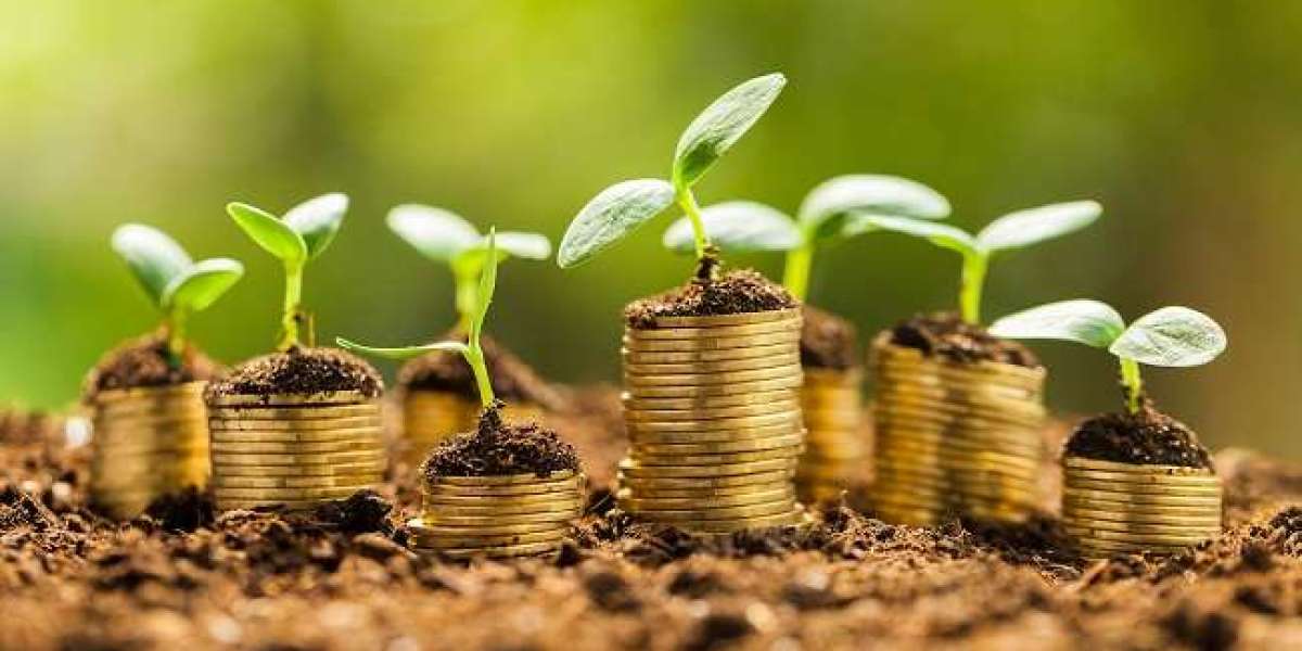 Microfinance Market to Grow with a CAGR of 12.05% Globally