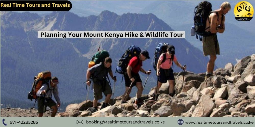 Planning Your Mount Kenya Hike & Wildlife Tour: A Comprehensive Guide